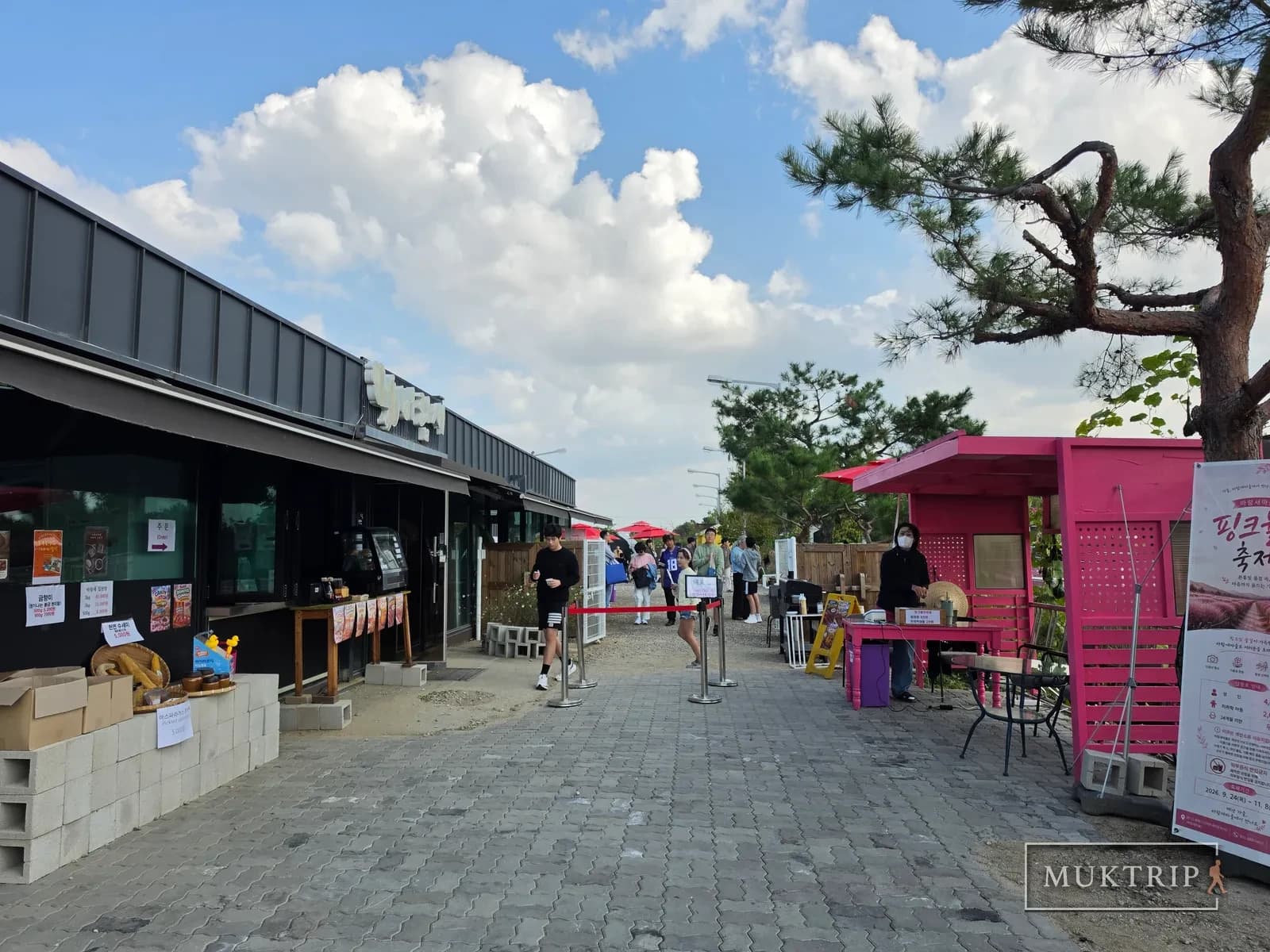 Baramsae Village Picnic Gardenの入口付近の店とピンク色のブースが並ぶ道