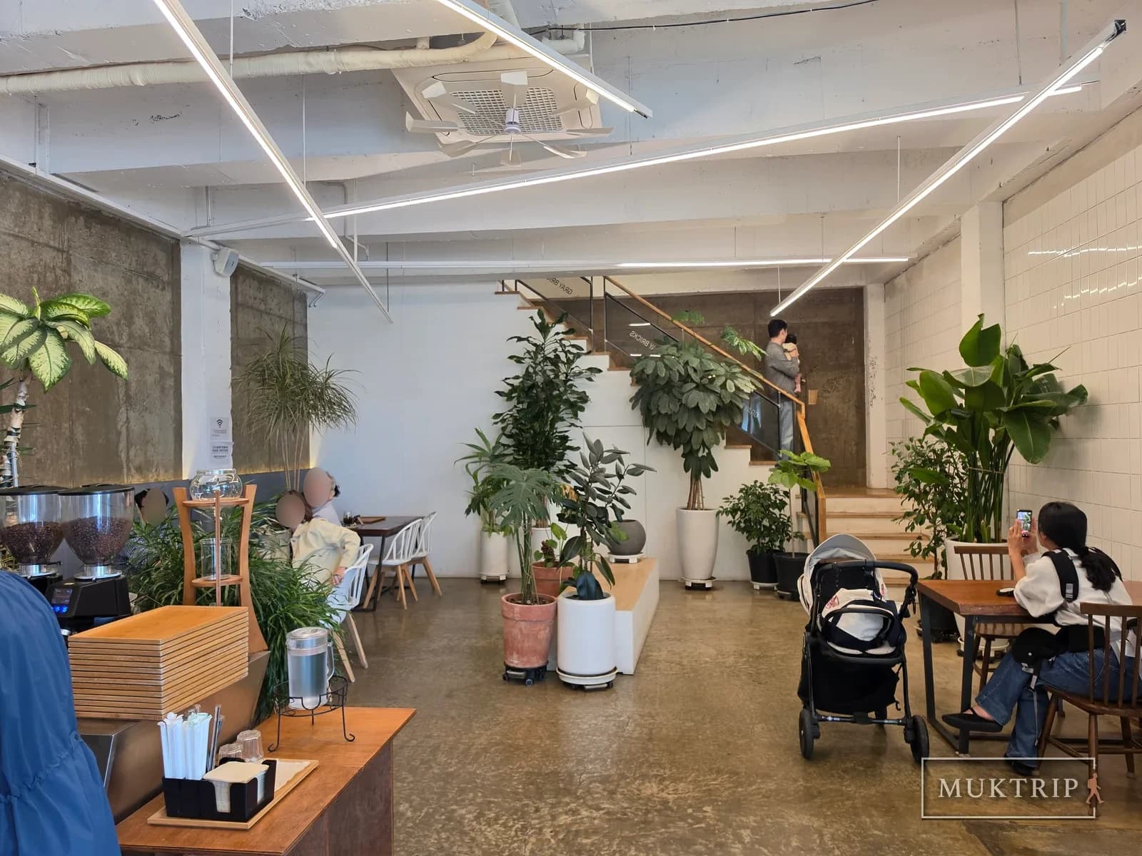 A high-ceilinged cafe filled with green potted plants