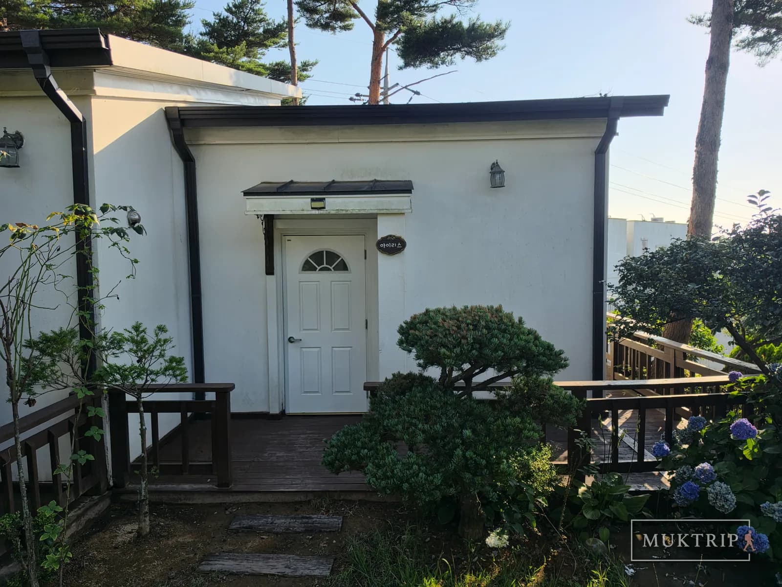 The white front door and a pine bonsai in front of the 'Iris' room at Ssolmirabell Pension