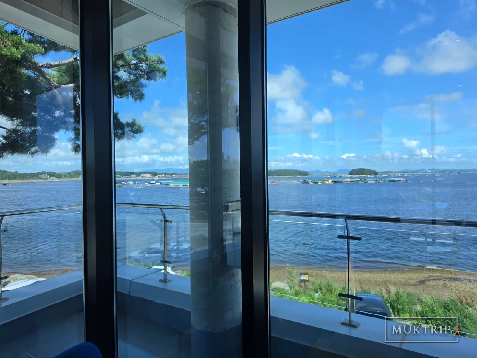松の枝の間から全面窓の向こうに生け簀養殖場と海が見える