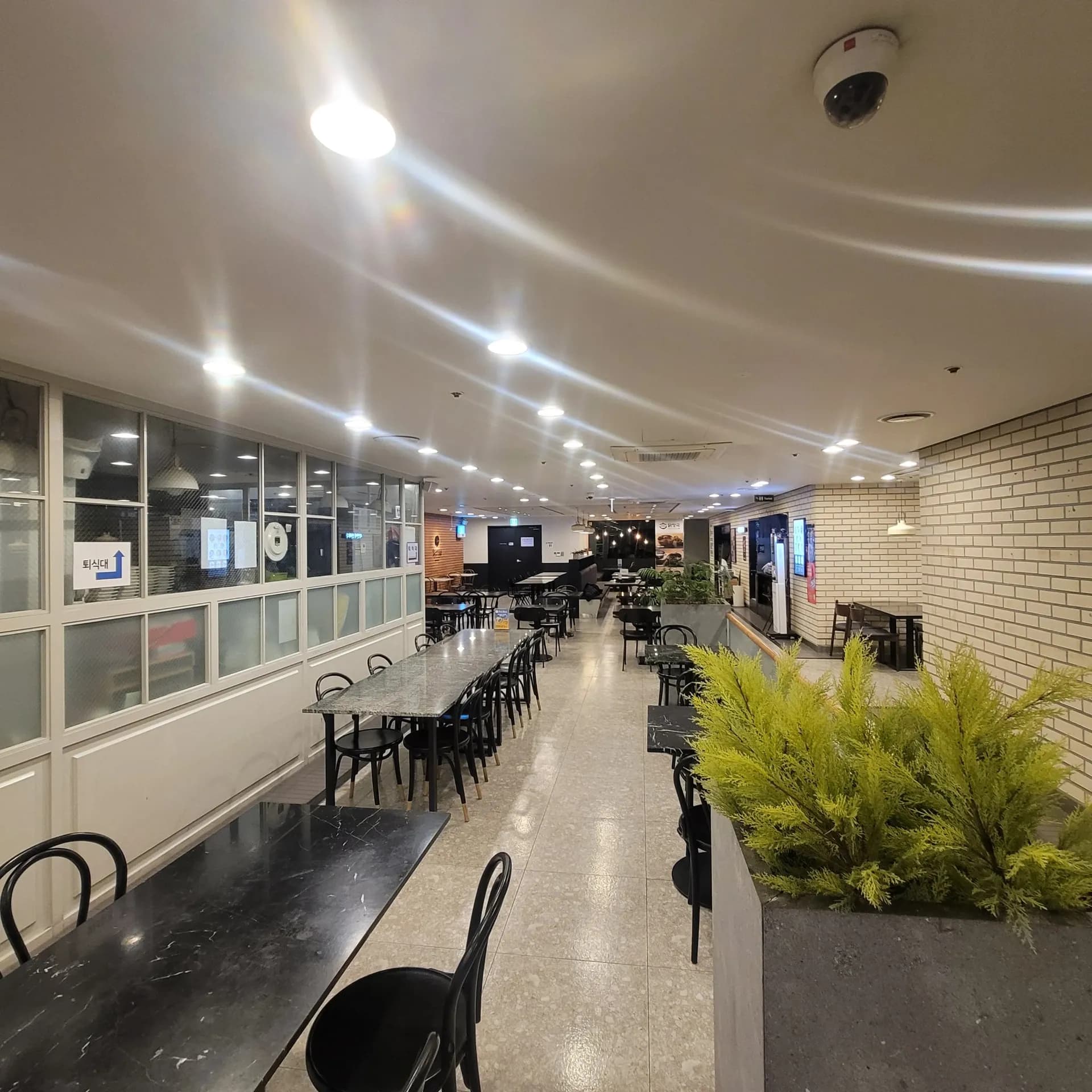 ラーメンにハマった太平洋物産店レビュー|九老みそラーメン正直な感想 - 2