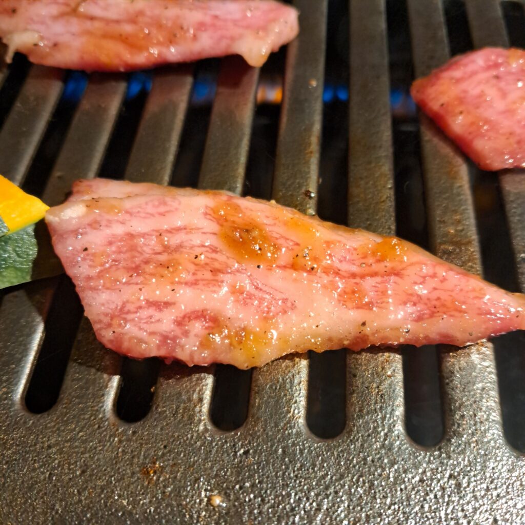 盛り付けられたお肉