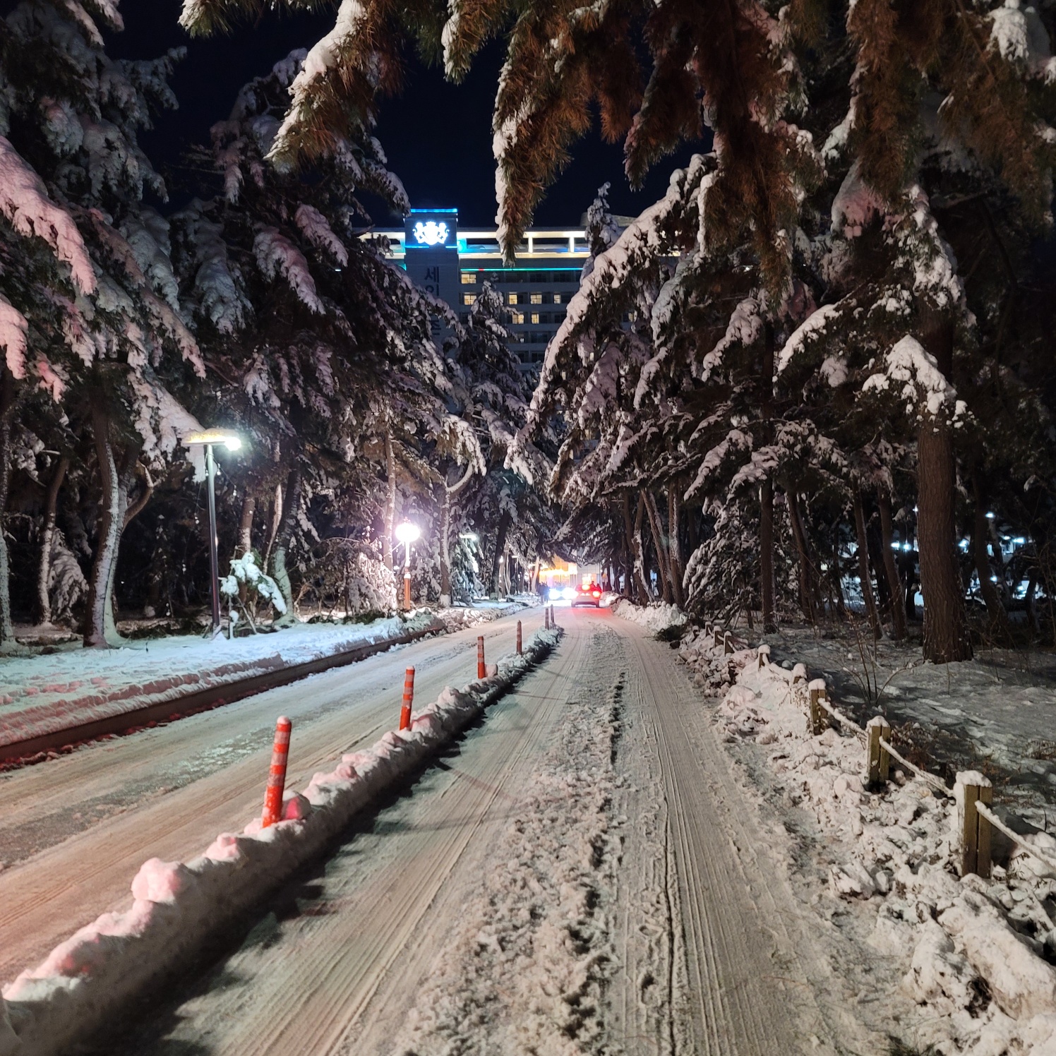 세인트존스 눈길